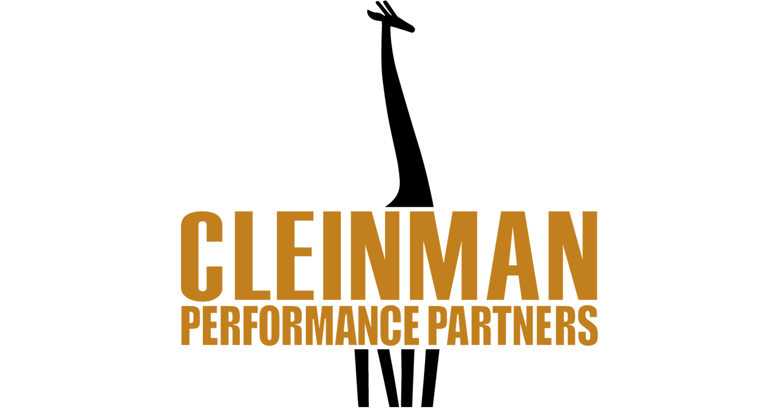 Cleinman Performance Partners Logo